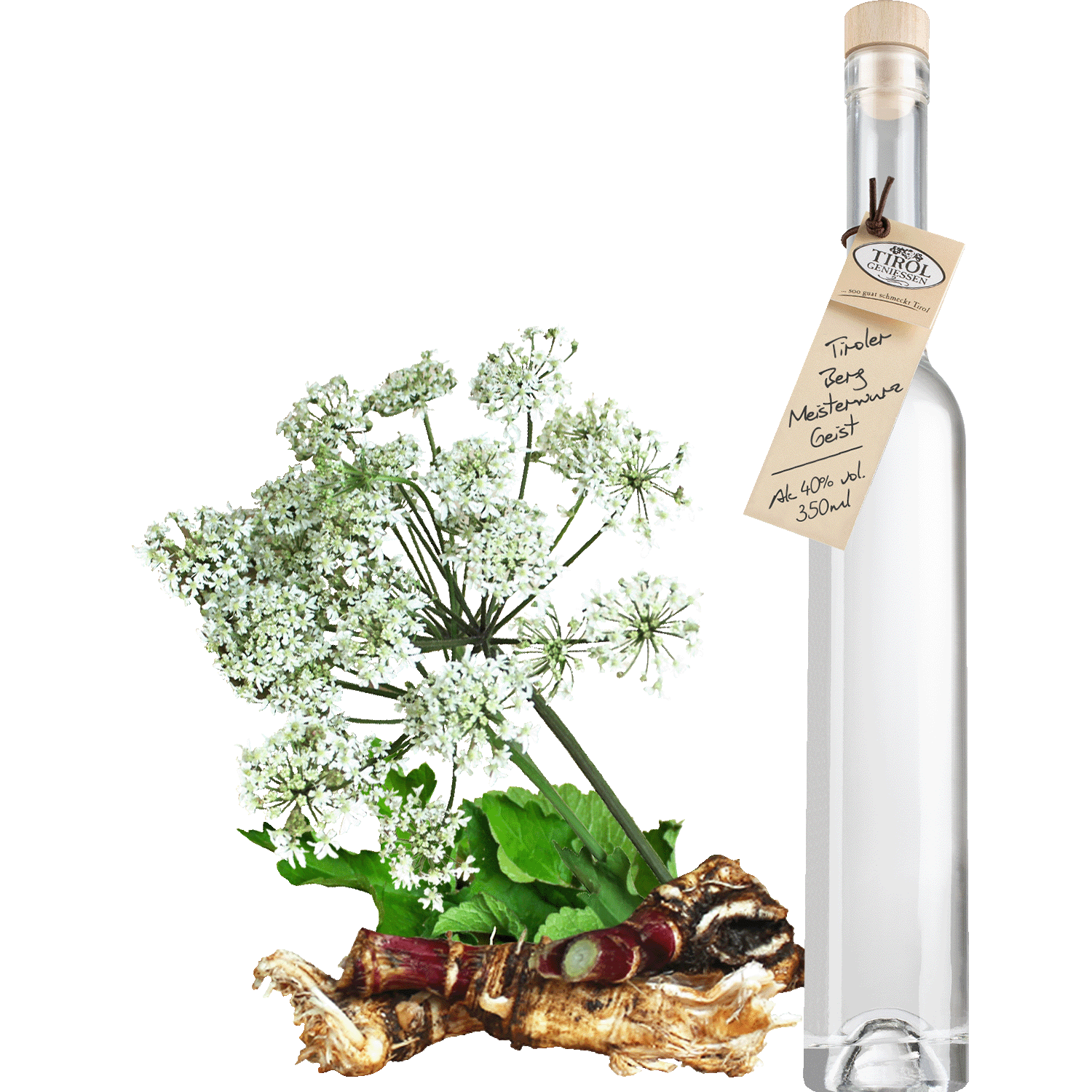 Masterwort Spirit in gift bottle from Austria from Tirol Geniessen